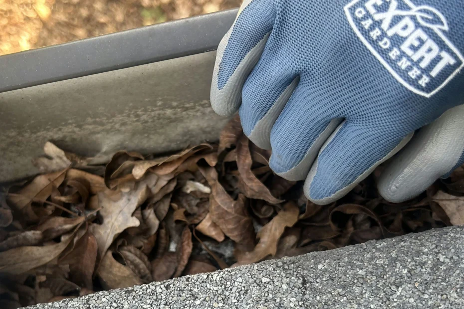 Gutter Cleaning Canal Winchester